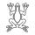 Frog B
